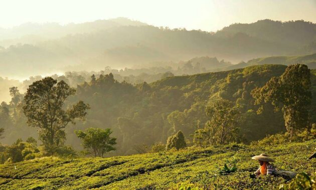 ini dia 10 daftar pilihan gunung cantik daerah banten yang bisa didaki para pecinta alam