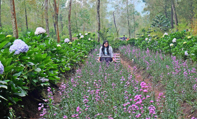 ini dia 10 spot foto yang akan bikin kamu betah di coban talun