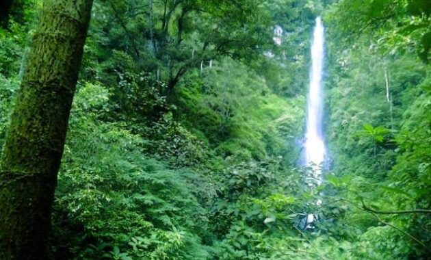 ini spot foto di coban rais malang yang lagi hits dan instagramable