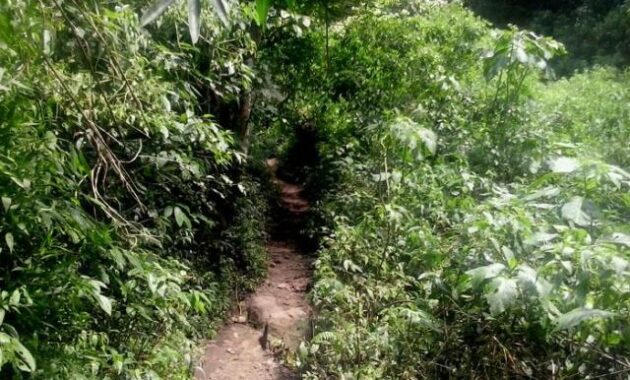 ini spot foto di coban rais malang yang lagi hits dan instagramable