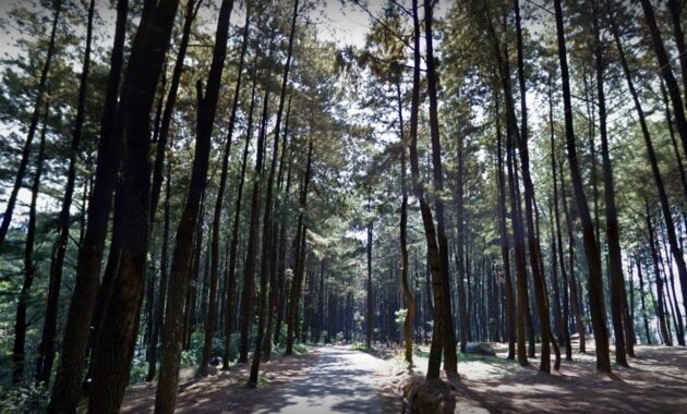 ini yang bisa kamu lakukan saat di gunung pancar