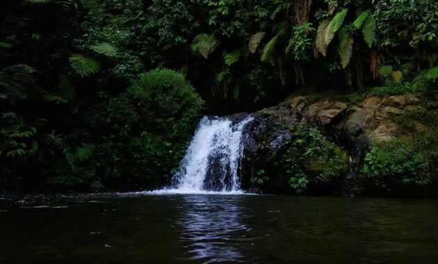 intip keunikan coban trisula, air terjun hits di kalangan pendaki semeru, Harga Tiket Masuk, Jalan Menuju Lokasi, Fasilitas, Sekilas Coban Trisula, Pesona Coban Trisula