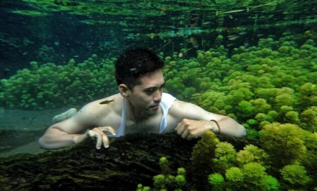 jalan menuju ke sumber sirah gondanglegi malang jika kamu dari kediri atau tulungagung, Banyak Pilihan, Sejarah Singkat, Kegiatan Wisata, Menuju Lokasi, Fasilitas Wisata