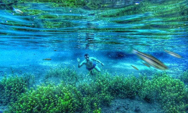 jalan menuju ke sumber sirah gondanglegi malang jika kamu dari kediri atau tulungagung, Banyak Pilihan, Sejarah Singkat, Kegiatan Wisata, Menuju Lokasi, Fasilitas Wisata