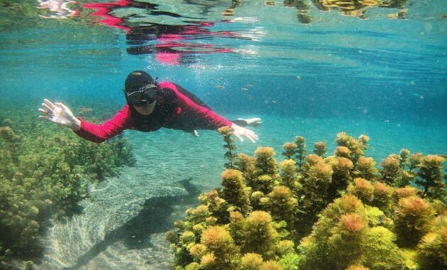 jalan menuju ke sumber sirah gondanglegi malang jika kamu dari kediri atau tulungagung, Banyak Pilihan, Sejarah Singkat, Kegiatan Wisata, Menuju Lokasi, Fasilitas Wisata