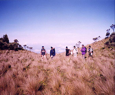gunung merbabu, gunung merbabu jalur selo, jalur selo gunung merbabu, mendaki gunung merbabu, pendakian gunung merbabu, pendakian merbabu via selo, rute pendakian selo gunung merbabu, jalur pendakian merbabu: peta, rute via selo, butuh waktu 8 jam aja!