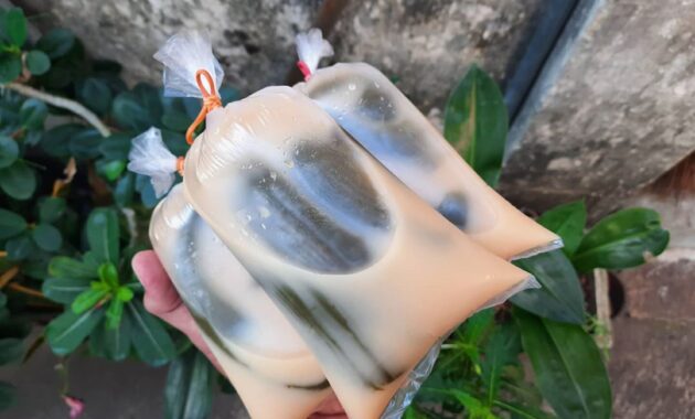 jangan lupa cobain 10 rekomendasi minuman khas sunda yang lezat ini untuk melepas dahaga