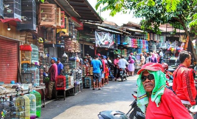 jangan lupa mampir ke 7 rekomendasi tempat belanja paling murah di daerah malang ini