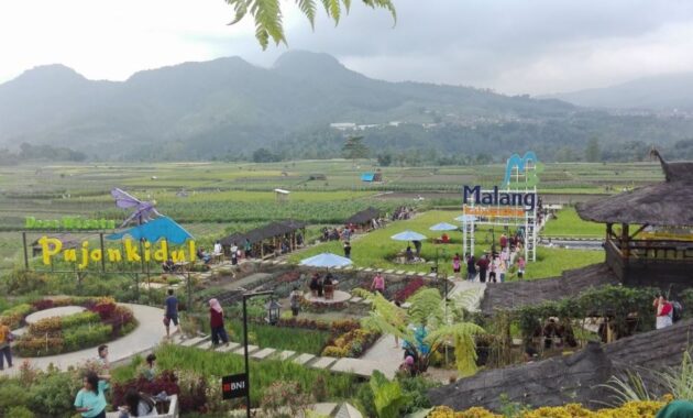 Kafe Unik di Malang, Cafe Sawah Pujon Kidul Namanya
