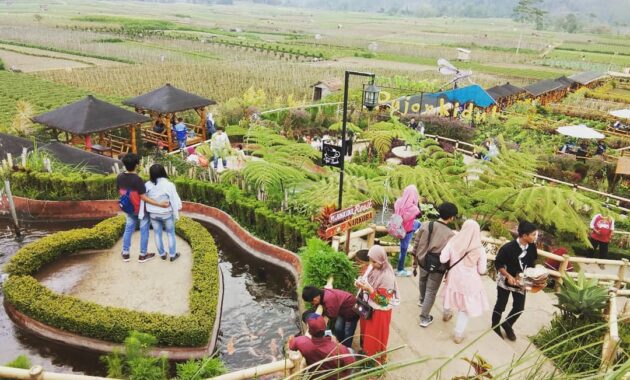 kafe unik di malang, cafe sawah pujon kidul namanya, Konsep Kafe, Fasilitas Yang Ada, Rute Menuju Lokasi, Menu Harga Makanan, Yang Dapat Kita Lakukan