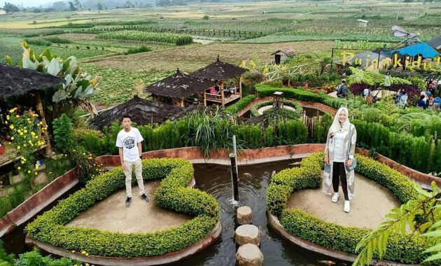 kafe unik di malang, cafe sawah pujon kidul namanya, Konsep Kafe, Fasilitas Yang Ada, Rute Menuju Lokasi, Menu Harga Makanan, Yang Dapat Kita Lakukan