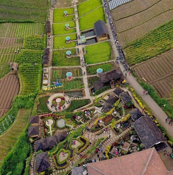 kafe unik di malang, cafe sawah pujon kidul namanya, Konsep Kafe, Fasilitas Yang Ada, Rute Menuju Lokasi, Menu Harga Makanan, Yang Dapat Kita Lakukan