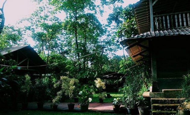 kampung 99 pepohonan depok, Rute Menuju Lokasi, Sejarah Singkat, Banjir Besar, Harga Tiket Masuk, Penginapan