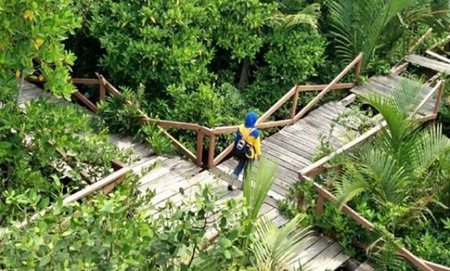 kampung laut cilacap, tempat yang penuh edukasi di segara anakan