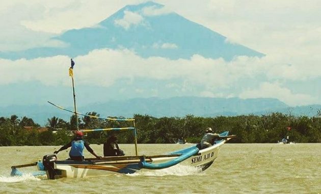 kampung laut cilacap, tempat yang penuh edukasi di segara anakan