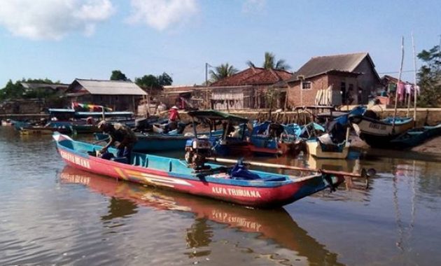kampung laut cilacap, tempat yang penuh edukasi di segara anakan