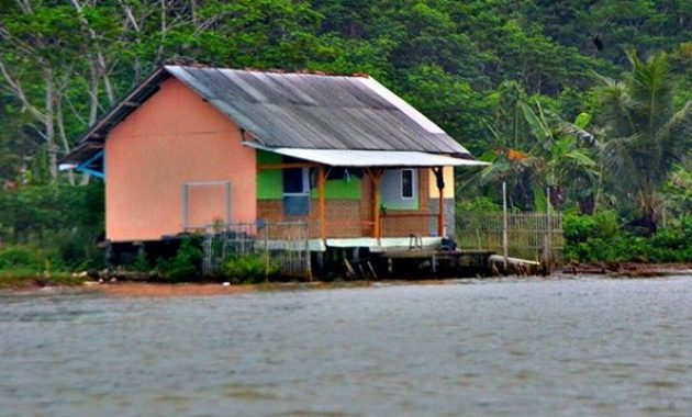 kampung laut cilacap, tempat yang penuh edukasi di segara anakan