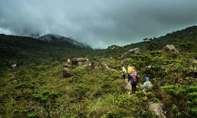 kamu pendaki sejati? coba taklukkin 10 rekomendasi gunung tertinggi di negara malaysia ini