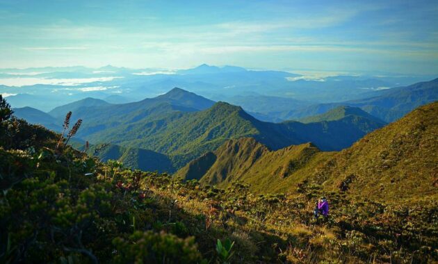 kamu pendaki sejati? coba taklukkin 10 rekomendasi gunung tertinggi di negara malaysia ini