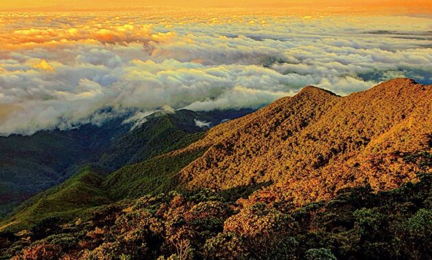 kamu pendaki sejati? coba taklukkin 10 rekomendasi gunung tertinggi di negara malaysia ini