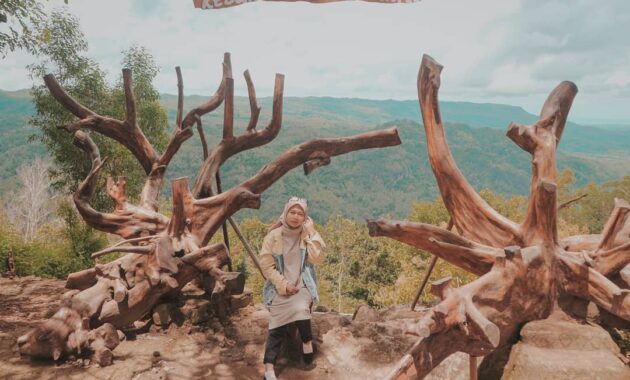 Kebun Buah Mangunan Bantul Jogja