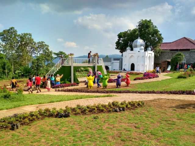 fasilitas taman bunga celosia, harga tiket masuk taman bunga celosia, lokasi taman bunga celosia, taman bunga celosia, tiket masuk taman bunga celosia, wahana taman bunga celosia, kebun bunga celosia bandungan semarang nan instagramable!