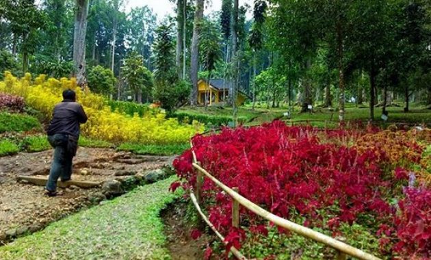 kebun raya baturaden, Sejarah Singkat, Koleksi Kebun , Kerusakan, Lokasi Dimana, Harga Tiket Masuk