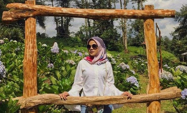 kebun raya baturaden, Sejarah Singkat, Koleksi Kebun , Kerusakan, Lokasi Dimana, Harga Tiket Masuk
