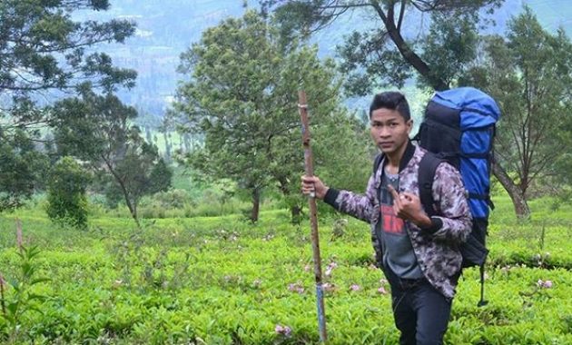 kebun teh tambi wonosobo, wisata alam menakjubkan yang patut dikunjungi