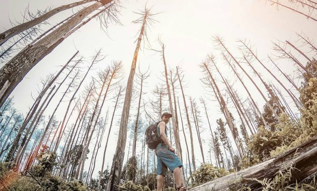 keindahan bukit ongakan, Harga Tiket Masuk, Jangan Hari Libur, Rute Menuju Lokasi , Fasilitas Lengkap, Saran Wisata