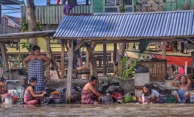 keindahan danau tempe dengan kekayaan alam yang menawan