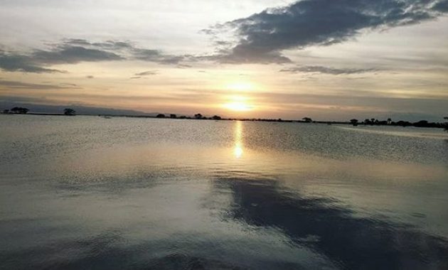 keindahan danau tempe dengan kekayaan alam yang menawan