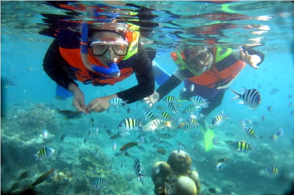 cara menuju pantai derawan, derawan, harga tiket masuk pantai derawan, hotel dekat pantai derawan, liburan ke derawan, liburan seru ke pantai derawan, lokasi pantai derawan, objek wisata derawan, pantai derawan, penginapan di derawan, penginapan di pulau derawan, wisata derawan, keindahan surga bawah laut pantai derawan kalimantan timur