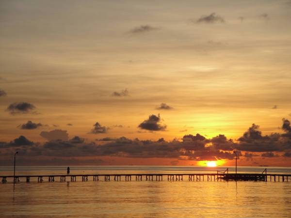 cara menuju pantai derawan, derawan, harga tiket masuk pantai derawan, hotel dekat pantai derawan, liburan ke derawan, liburan seru ke pantai derawan, lokasi pantai derawan, objek wisata derawan, pantai derawan, penginapan di derawan, penginapan di pulau derawan, wisata derawan, keindahan surga bawah laut pantai derawan kalimantan timur