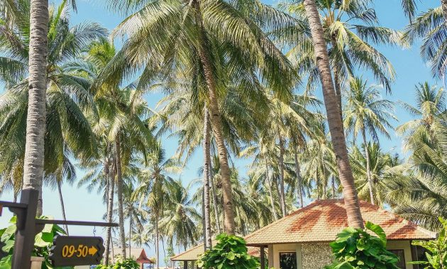Ketapang Indah Hotel, Salah Satu Hotel Ramah Kantung Yang Memiliki Pemandangan Indah di Banyuwangi