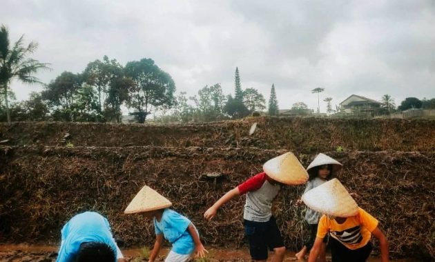 lagi hits di bogor, lenirra villa yang estetik dengan pemandangan gunung salak dan sawah asri!