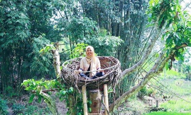 lembah hijau rumbia jeneponto sulawesi selatan
