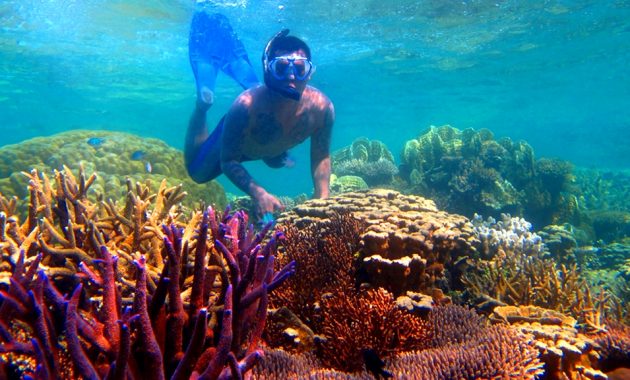 liburan ala backpacker ke karimunjawa, hemat dan seru! simak 10 tips berikut ini
