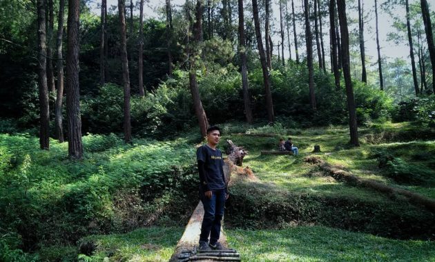 liburan di lembah hijau puncak ciloto