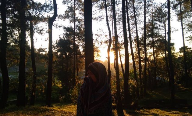 liburan di lembah hijau puncak ciloto