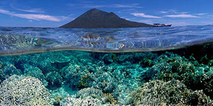 bawah laut bunaken, keindahan taman luat bunaken, taman bunaken, taman laut bunaken, taman nasional bunaken, liburan seru ke taman laut bunaken manado
