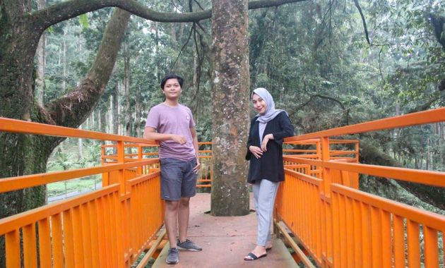 lokasi kebun raya baturaden