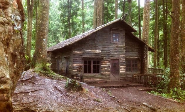lokasi kebun raya baturaden