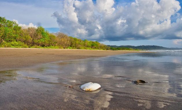 Lokasi Pantai Trianggulasi