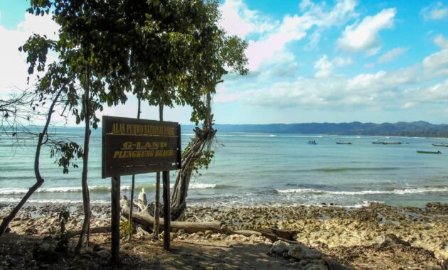 lokasi wisata pantai plengkung terletak di kecamatan tegaldlimo kabupaten banyuwangi jawa timur, Harga Tiket Masuk, Wisata Banyuwangi, Diakui Dunia, Keindahan dan Potensi, Jalan Menuju Lokasi