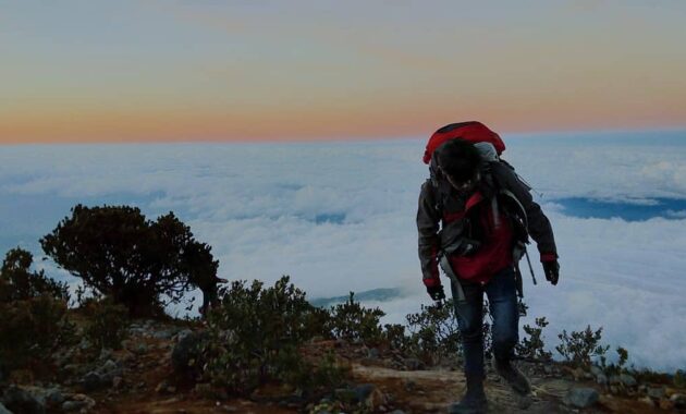 mau mendaki di daerah pulau jawa, ini dia 10 referensi gunung terbaik untuk kalian kunjungi