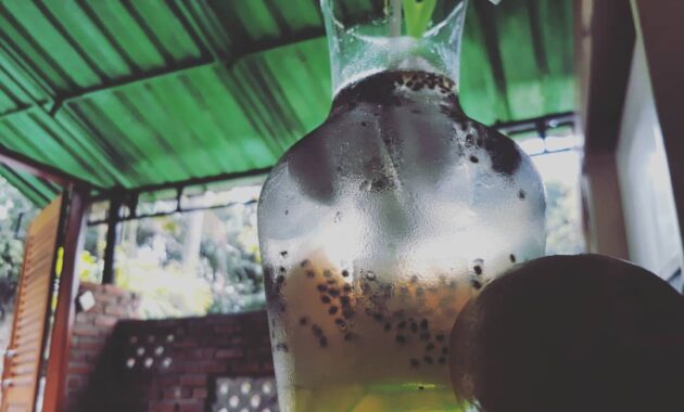 menarik untuk dicoba! 10 rekomendasi cafe daerah cimahi ini bisa buat nongkrong saat weekend nanti!