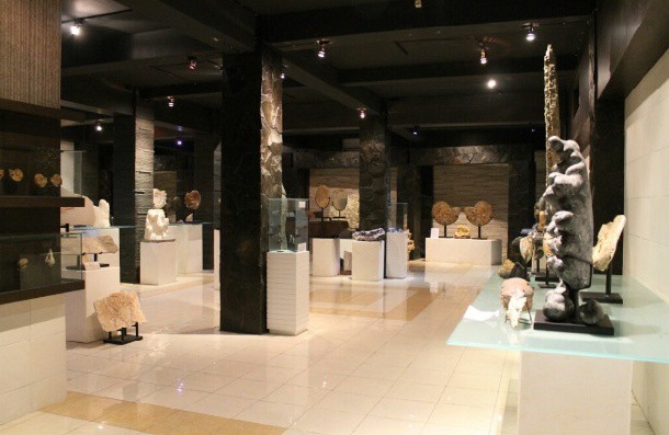 Mengenal Berbagai Jenis Kerang di Bali Shell Museum