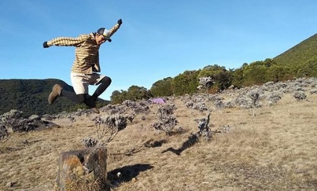 menghilangkan stres dan berburu inspirasi dari edelweis di alun-alun suryakencana, Lokasi Tempat Wisata, Informasi Umum, Mitos Dibalik Keindahan, Akses Menuju Lokasi, Tips Berwisata