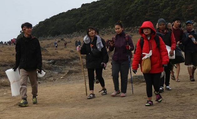 menghilangkan stres dan berburu inspirasi dari edelweis di alun-alun suryakencana, Lokasi Tempat Wisata, Informasi Umum, Mitos Dibalik Keindahan, Akses Menuju Lokasi, Tips Berwisata